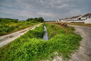 Konut evlerine giden kırsal yol manzarası.