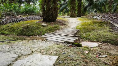 Çiftlik drenajı geçidinde basit bir ahşap köprü yolu..