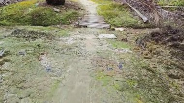 Çiftlik drenajı geçidinde basit bir ahşap köprü yolu..