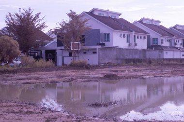 Yerleşim alanının dışındaki bataklık manzarasının kızılötesi görüntüsü.. 