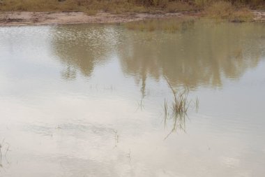 Yerleşim alanının dışındaki bataklık manzarasının kızılötesi görüntüsü.. 
