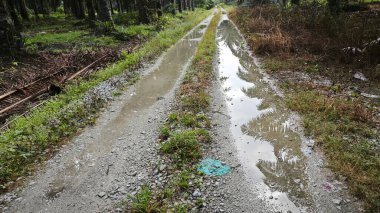Kırsal toprak yolda durgun yağmur sularının yansıtıcı çukurları. 