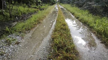 Kırsal toprak yolda durgun yağmur sularının yansıtıcı çukurları. 