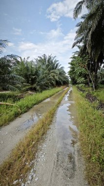 Kırsal toprak yolda durgun yağmur sularının yansıtıcı çukurları. 