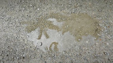 Kırsal toprak yolda durgun yağmur sularının yansıtıcı çukurları. 