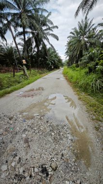 Kırsal toprak yolda durgun yağmur sularının yansıtıcı çukurları. 