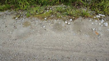 Kırsal toprak yolda durgun yağmur sularının yansıtıcı çukurları. 
