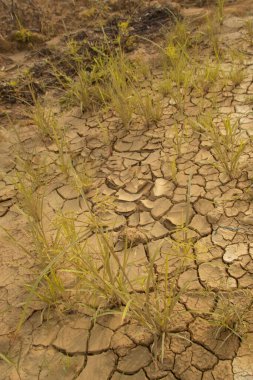 Kurumuş toprak yüzeyinin şekli ve dokusu sıcak havaya bağlı.. 