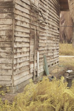 İzole edilmiş çiftlikteki terk edilmiş ve harap olmuş ahşap evin çevresindeki olay yerinin kızılötesi görüntüsü.