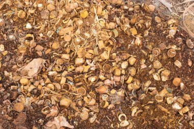 Infrared image of the landfill site with rusted and decayed bottle caps on the ground.