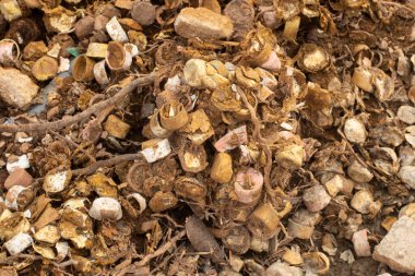 Infrared image of the landfill site with rusted and decayed bottle caps on the ground.