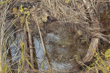 Bulanık drenajın kızılötesi görüntüsü ve durgun yağmur suyunun çukurunun yolu. 