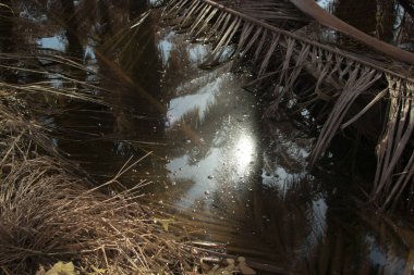 Bulanık drenajın kızılötesi görüntüsü ve durgun yağmur suyunun çukurunun yolu. 