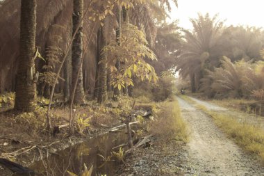 Bulanık drenajın kızılötesi görüntüsü ve durgun yağmur suyunun çukurunun yolu. 