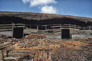 Mangrov ormanının çevresindeki çatıya yakın bina güneş alan kuru bir arazi.. 
