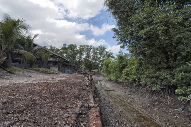 Mangrov ormanının çevresindeki çatıya yakın bina güneş alan kuru bir arazi.. 