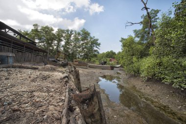 Mangrov ormanının çevresindeki çatıya yakın bina güneş alan kuru bir arazi.. 