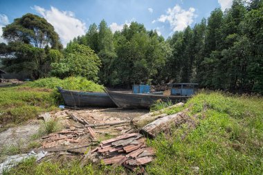 Mangrov ormanının çevresindeki çatıya yakın bina güneş alan kuru bir arazi.. 