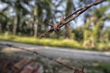 Kırsal tarım arazisi sınırındaki paslı dikenli tel örgüye yakın çekim.