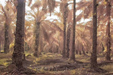 Palmiye yağı tarlasının içindeki parlak günün kızılötesi görüntüsü.  