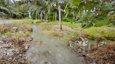 Şiddetli yağmurdan sonra yol boyunca akan su..
