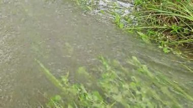 Şiddetli yağmurdan sonra yol boyunca akan su.. 