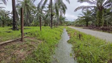 Şiddetli yağmurdan sonra yol boyunca akan su.. 