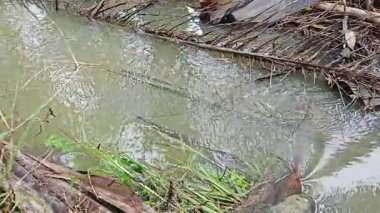 Şiddetli yağmurdan sonra yol boyunca akan su.. 