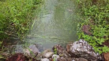 Şiddetli yağmurdan sonra yol boyunca akan su.. 