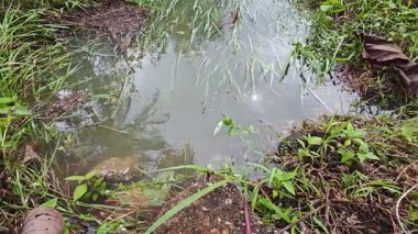 Şiddetli yağmurdan sonra yol boyunca akan su.. 