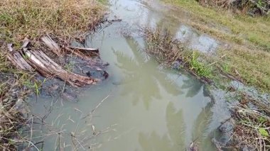 Şiddetli yağmurdan sonra yol boyunca akan su.. 