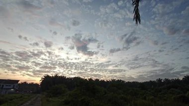 Banliyö evleri sokağının dışındaki mavi saat manzarası.  