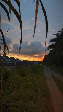Banliyö yerleşim alanının dışında yeni bir günün şafağı.