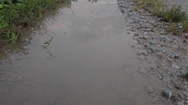 Banliyö yerleşim alanının dışında yeni bir günün şafağı. 