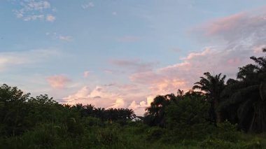 Banliyö yerleşim alanının dışında yeni bir günün şafağı. 