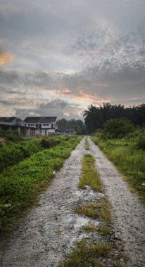 Banliyö yerleşim alanının varoşlarında yeni bir günün şafağına bakıyorum..