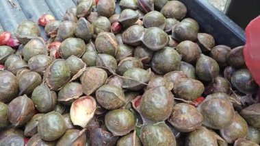 koyu renkli arşiv arşivi pauciflorum sebze tohumları yığını.