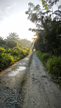 Parlak güneş ışığı uzaktaki ufukta kırsal yolda ışıldıyor.. 