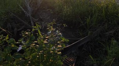 Parlak güneş ışığı uzaktaki ufukta kırsal yolda ışıldıyor.. 