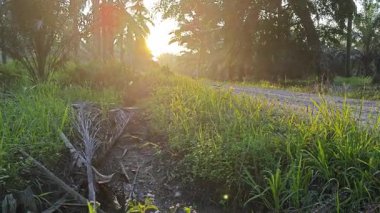 Parlak güneş ışığı uzaktaki ufukta kırsal yolda ışıldıyor.. 