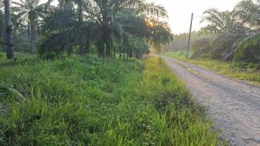 Parlak güneş ışığı uzaktaki ufukta kırsal yolda ışıldıyor.. 