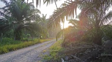 Parlak güneş ışığı uzaktaki ufukta kırsal yolda ışıldıyor.. 