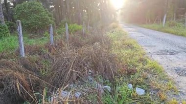 Parlak güneş ışığı uzaktaki ufukta kırsal yolda ışıldıyor.. 