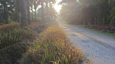Parlak güneş ışığı uzaktaki ufukta kırsal yolda ışıldıyor.. 