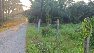 Parlak güneş ışığı uzaktaki ufukta kırsal yolda ışıldıyor.. 