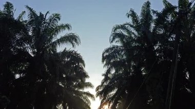 Parlak güneş ışığı uzaktaki ufukta kırsal yolda ışıldıyor.. 