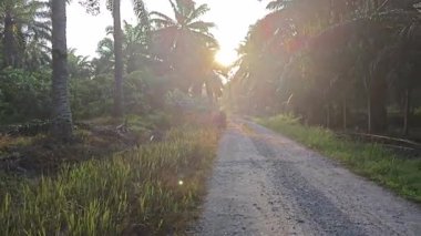 Parlak güneş ışığı uzaktaki ufukta kırsal yolda ışıldıyor.. 