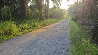 Parlak güneş ışığı uzaktaki ufukta kırsal yolda ışıldıyor.. 