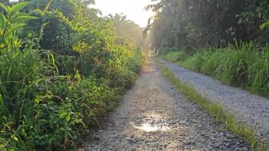 Parlak güneş ışığı uzaktaki ufukta kırsal yolda ışıldıyor.. 