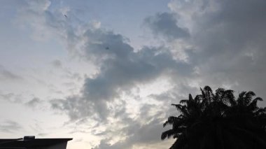 Yeni günün şafağında ufka bakıyorum..